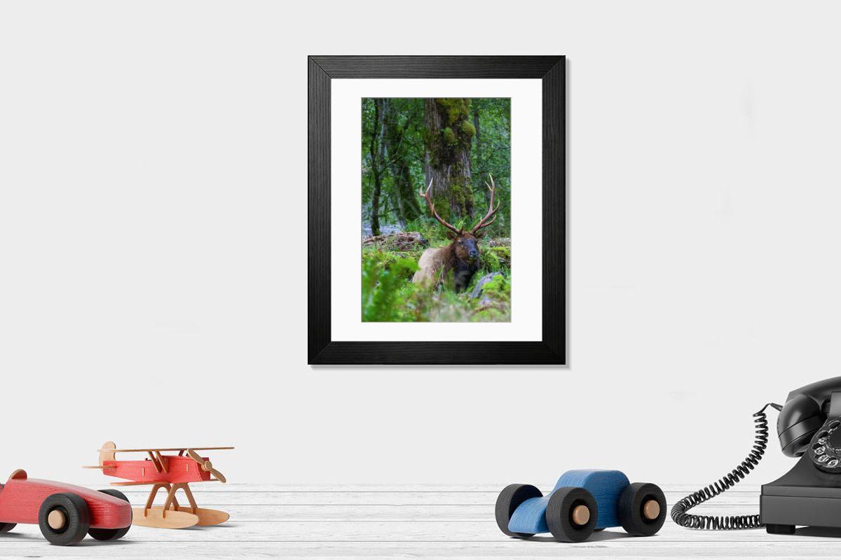 product preview 0