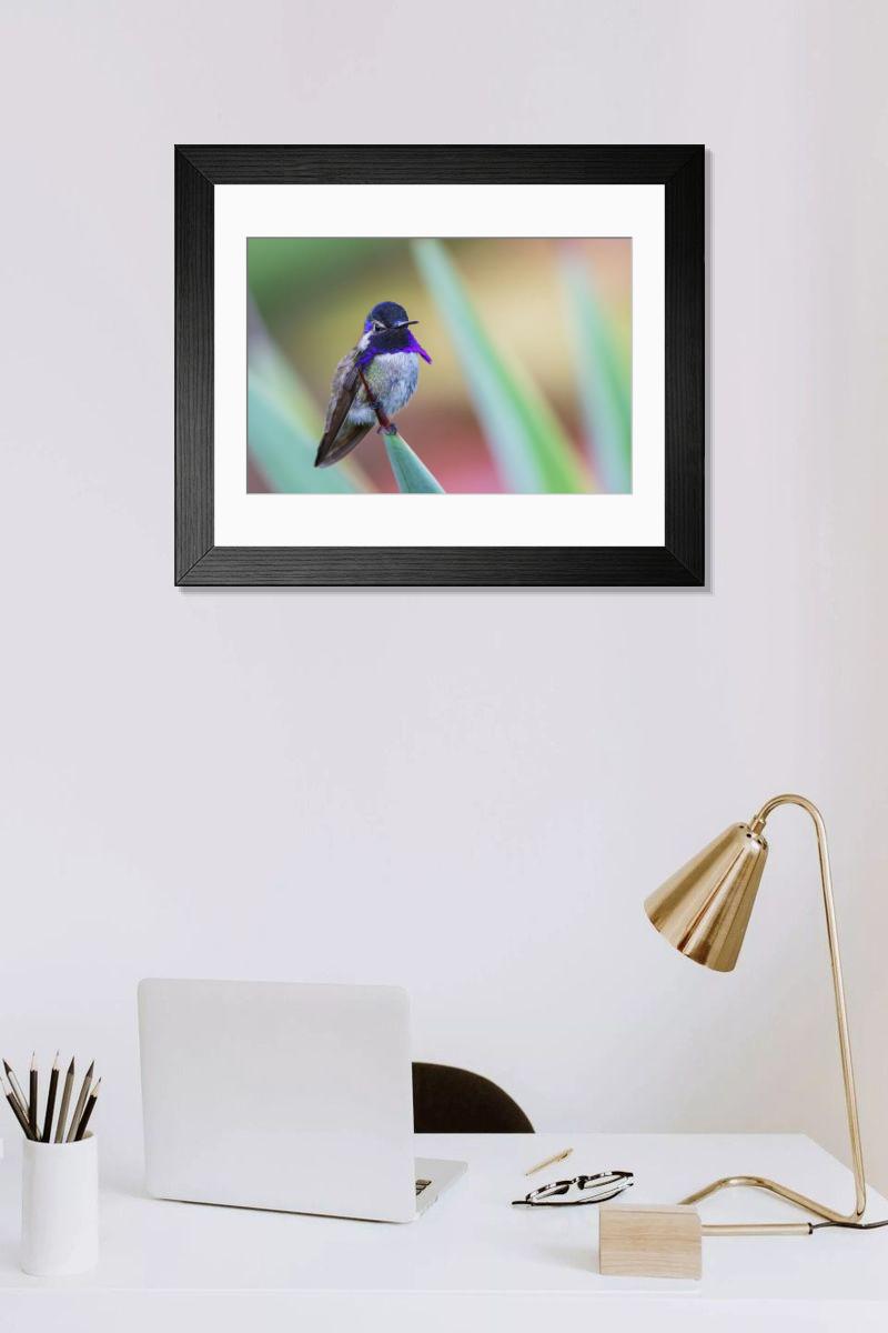 product preview 0
