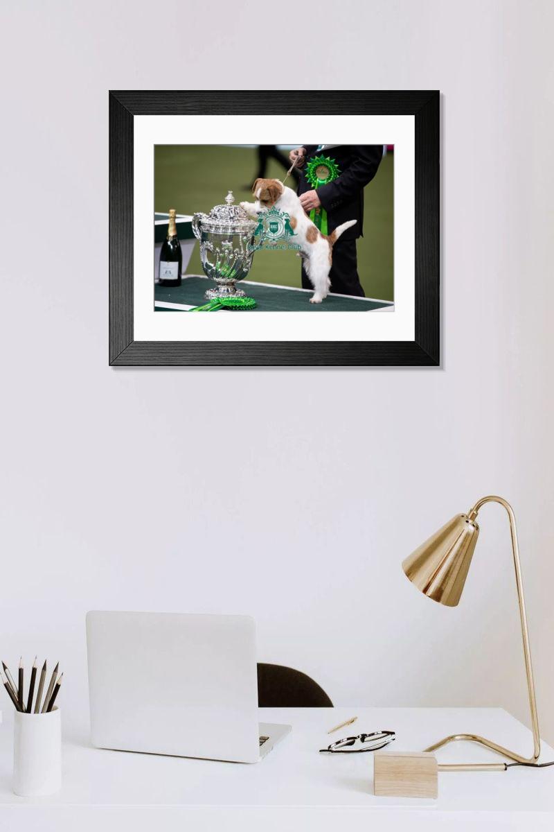 product preview 0