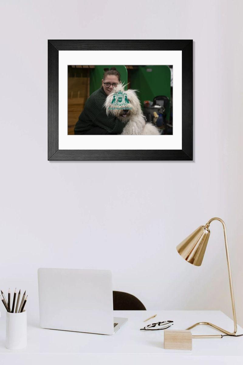 product preview 0
