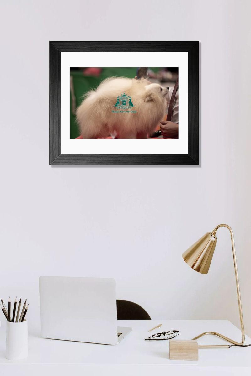 product preview 0