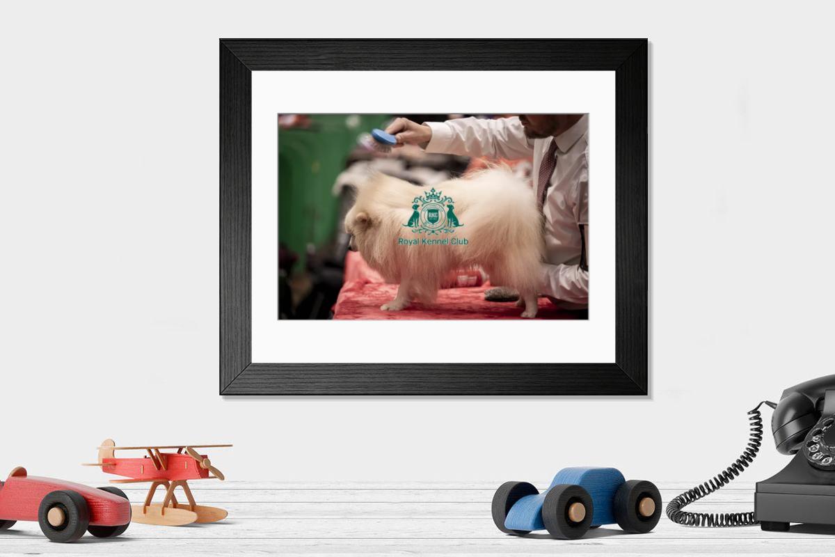 product preview 0