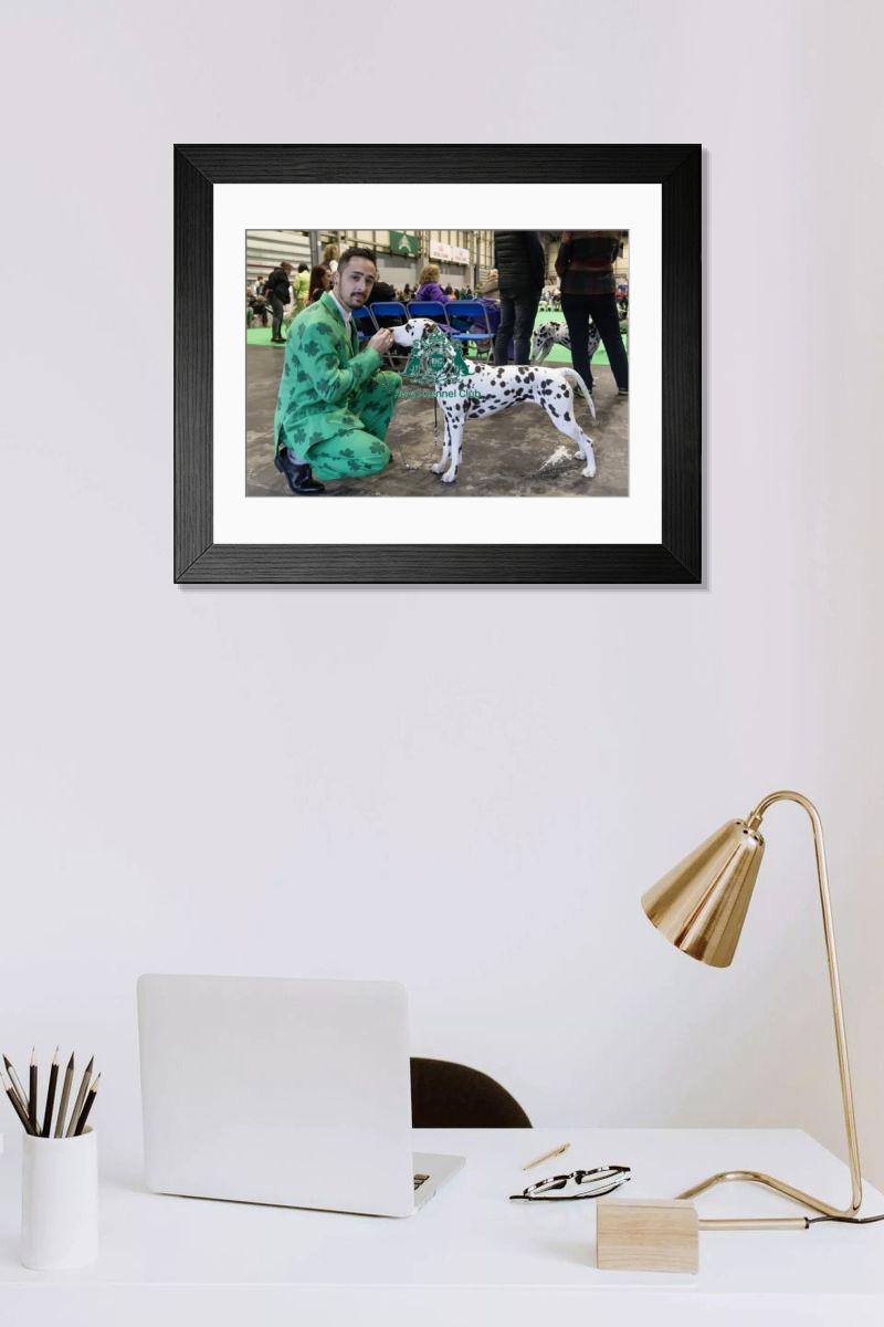 product preview 0