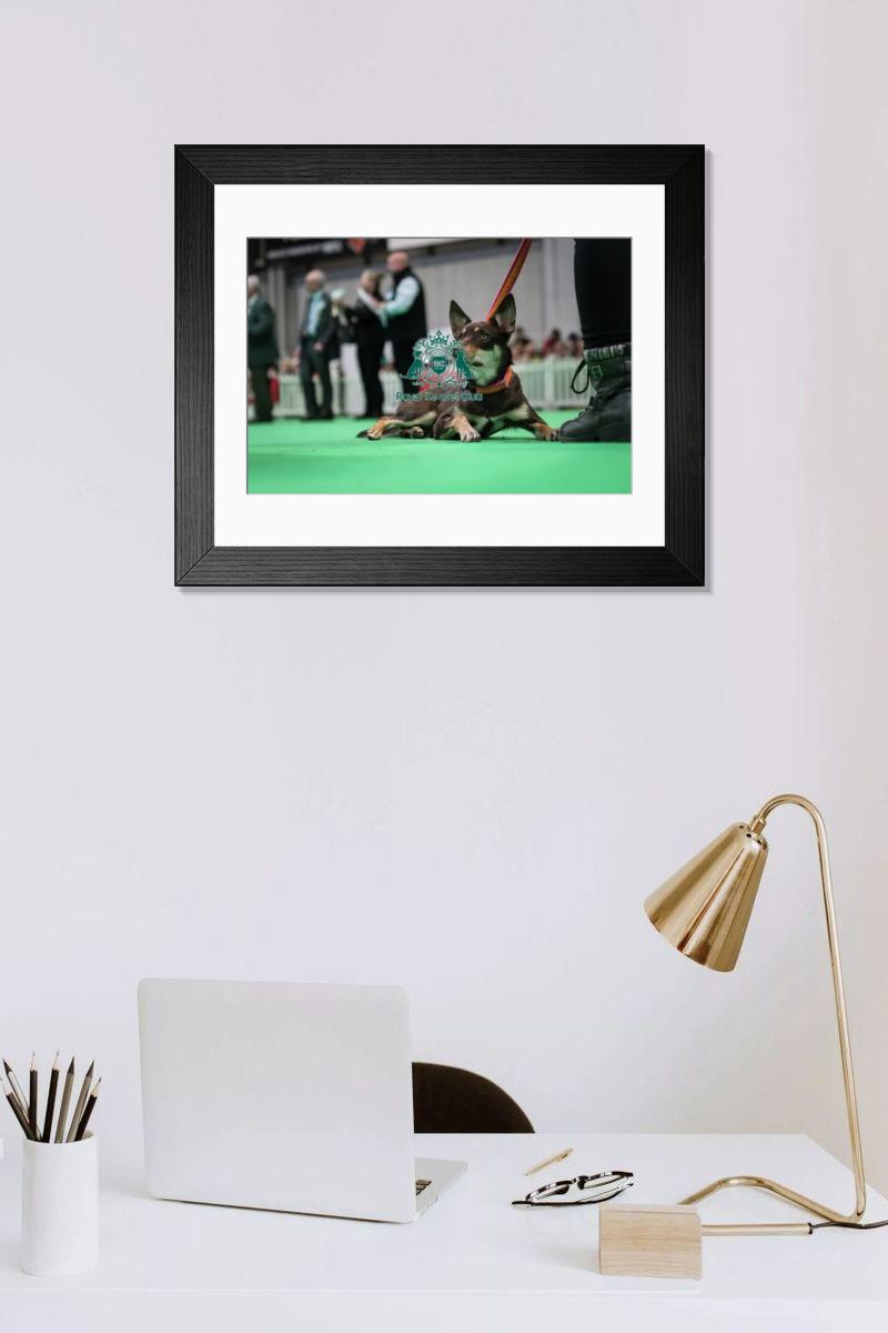 product preview 0