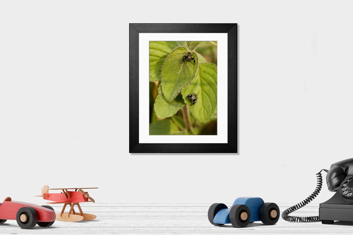 product preview 0