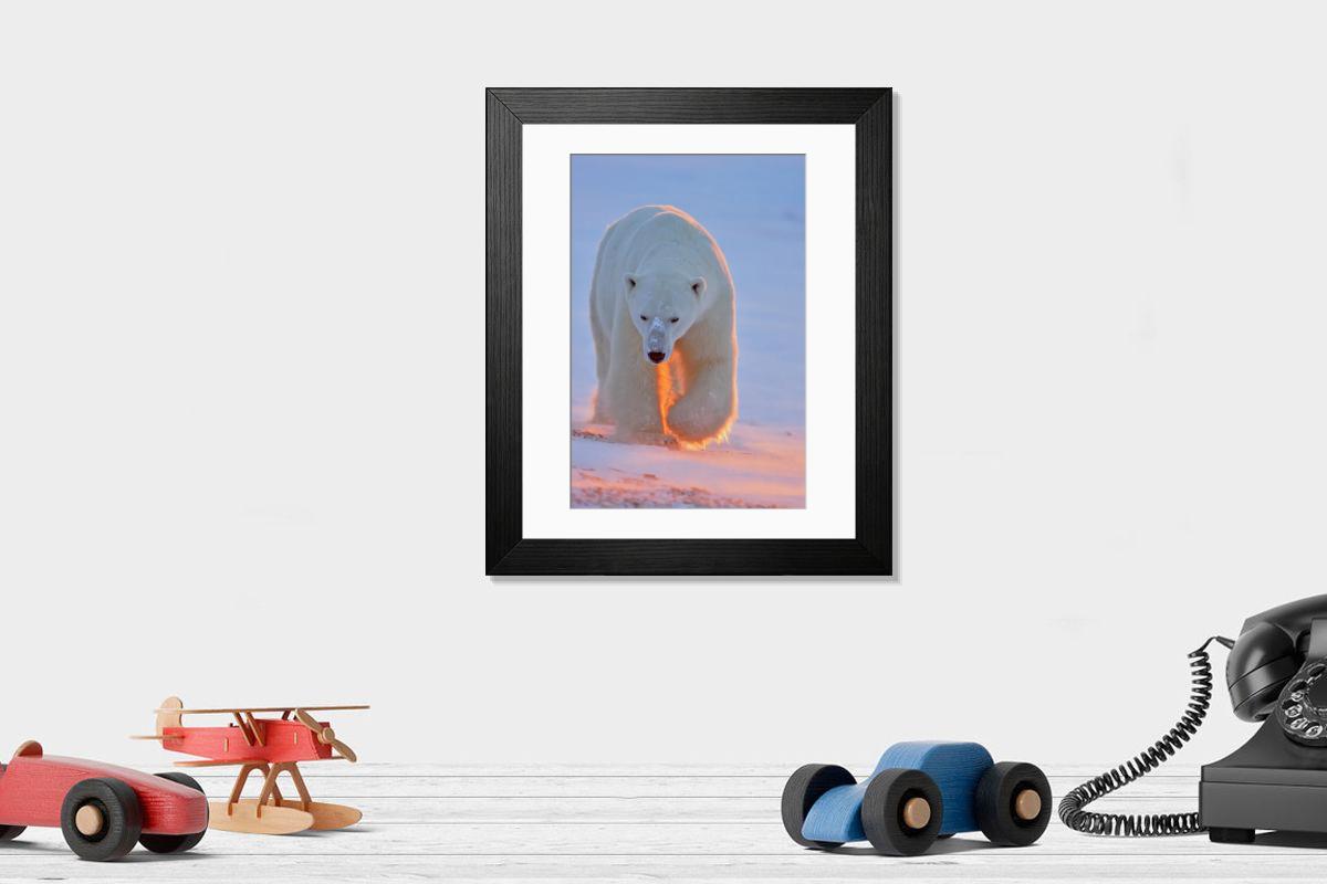 product preview 0