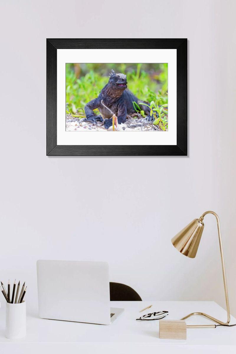 product preview 0