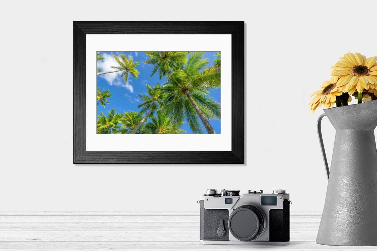 product preview 0