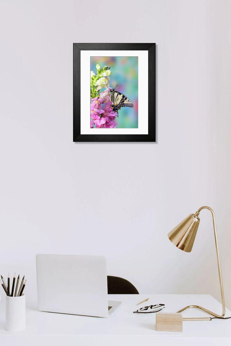 product preview 0