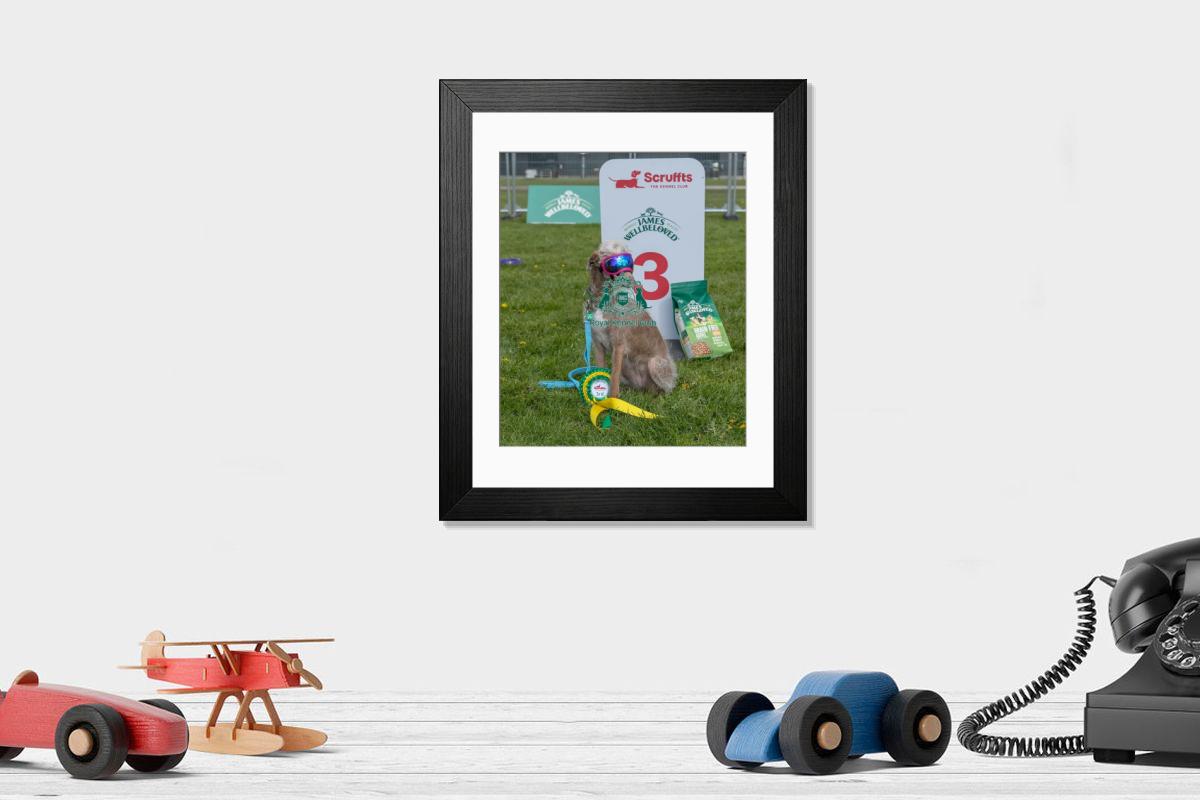 product preview 0