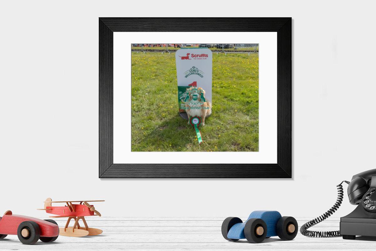 product preview 0