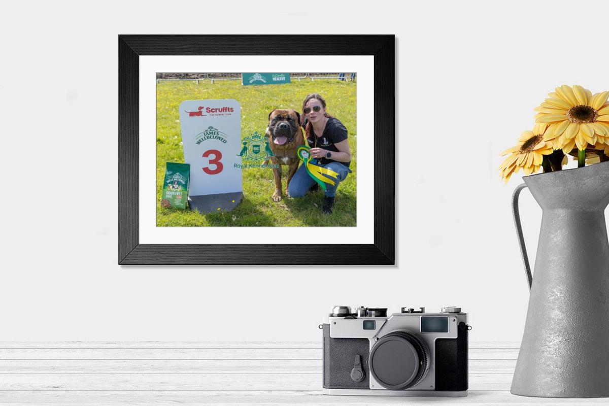 product preview 0