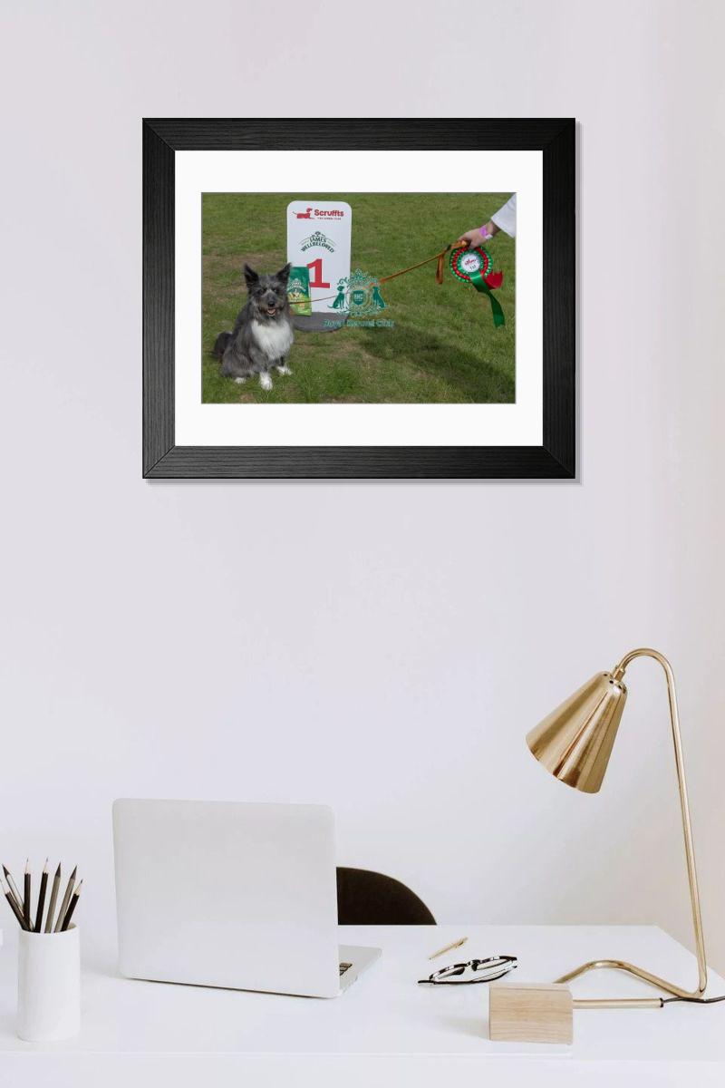 product preview 0