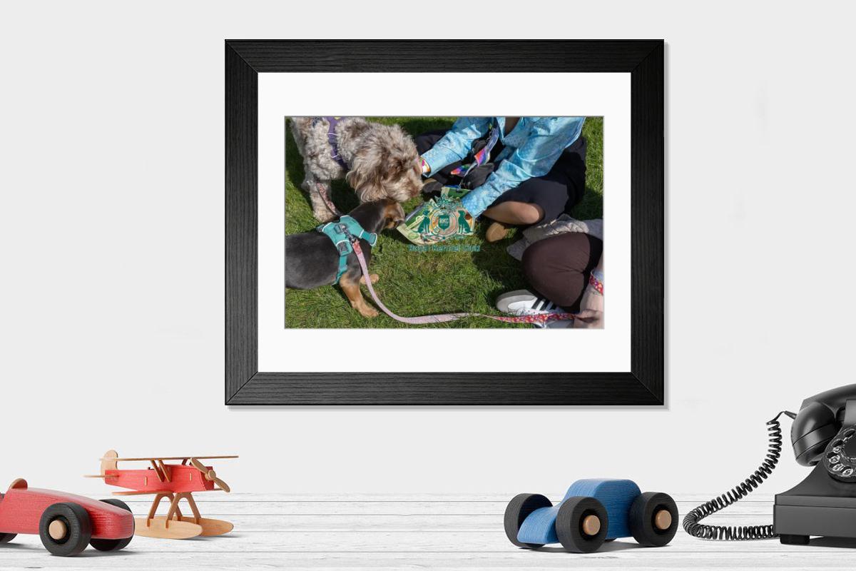 product preview 0