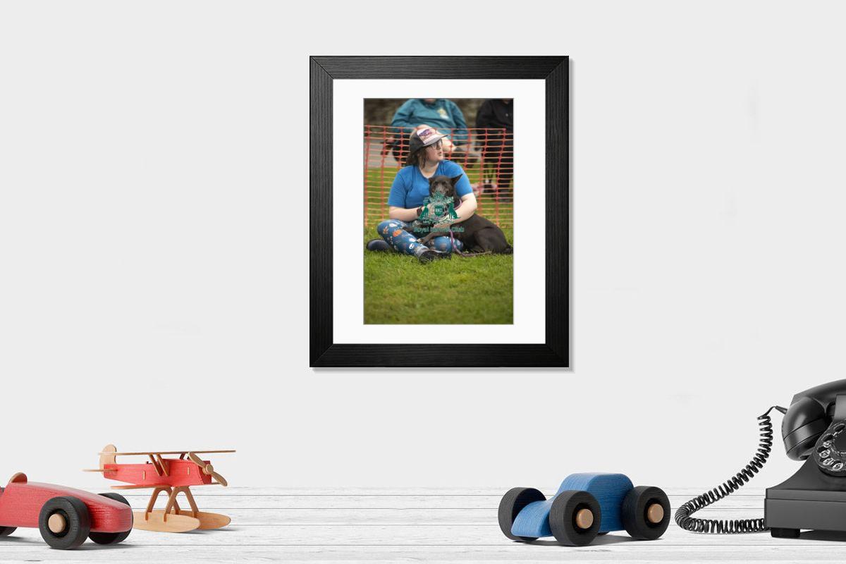 product preview 0