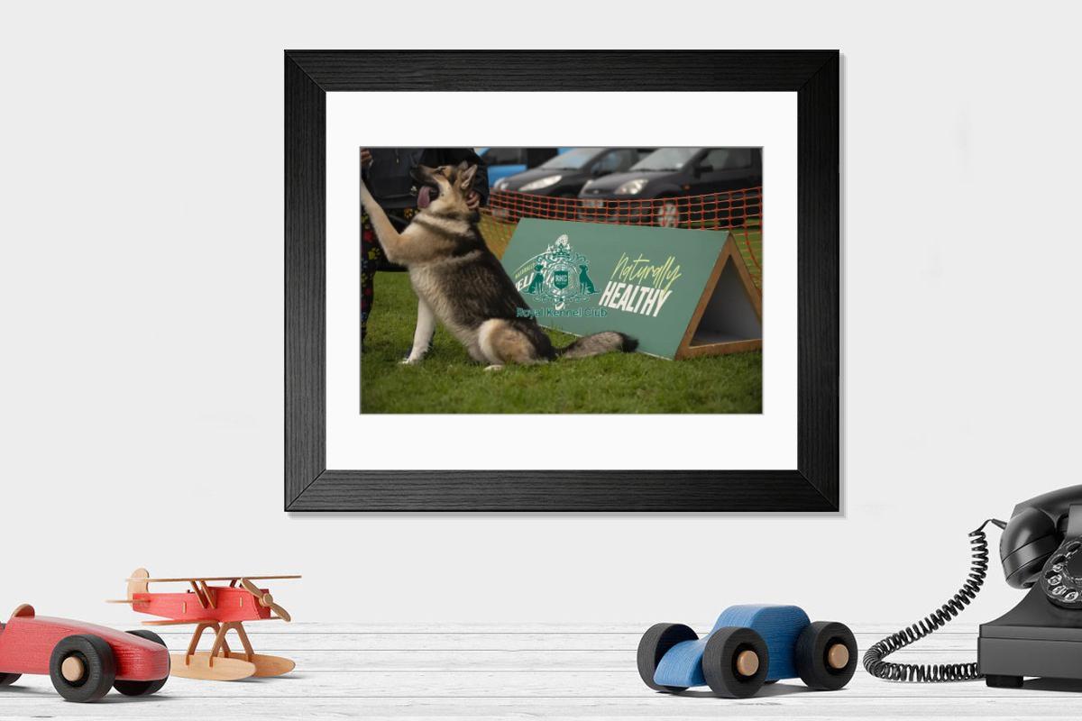 product preview 0