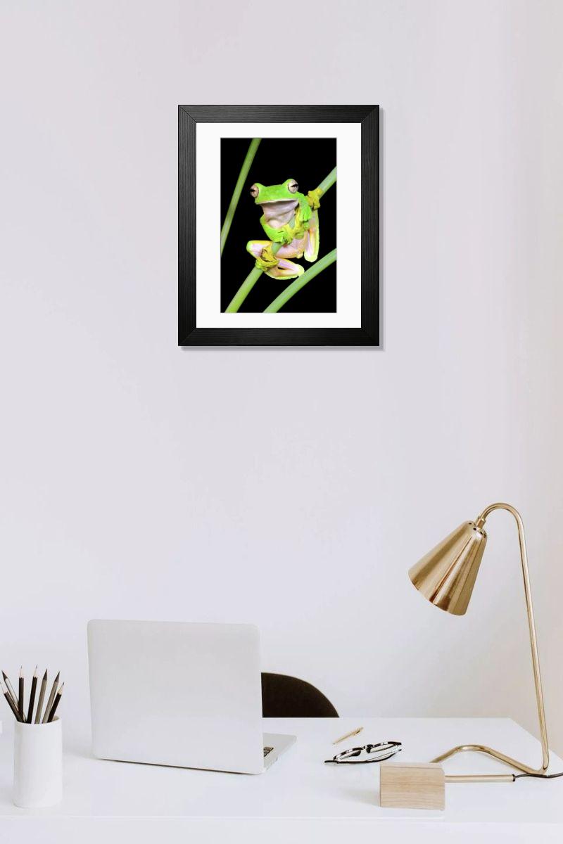 product preview 0