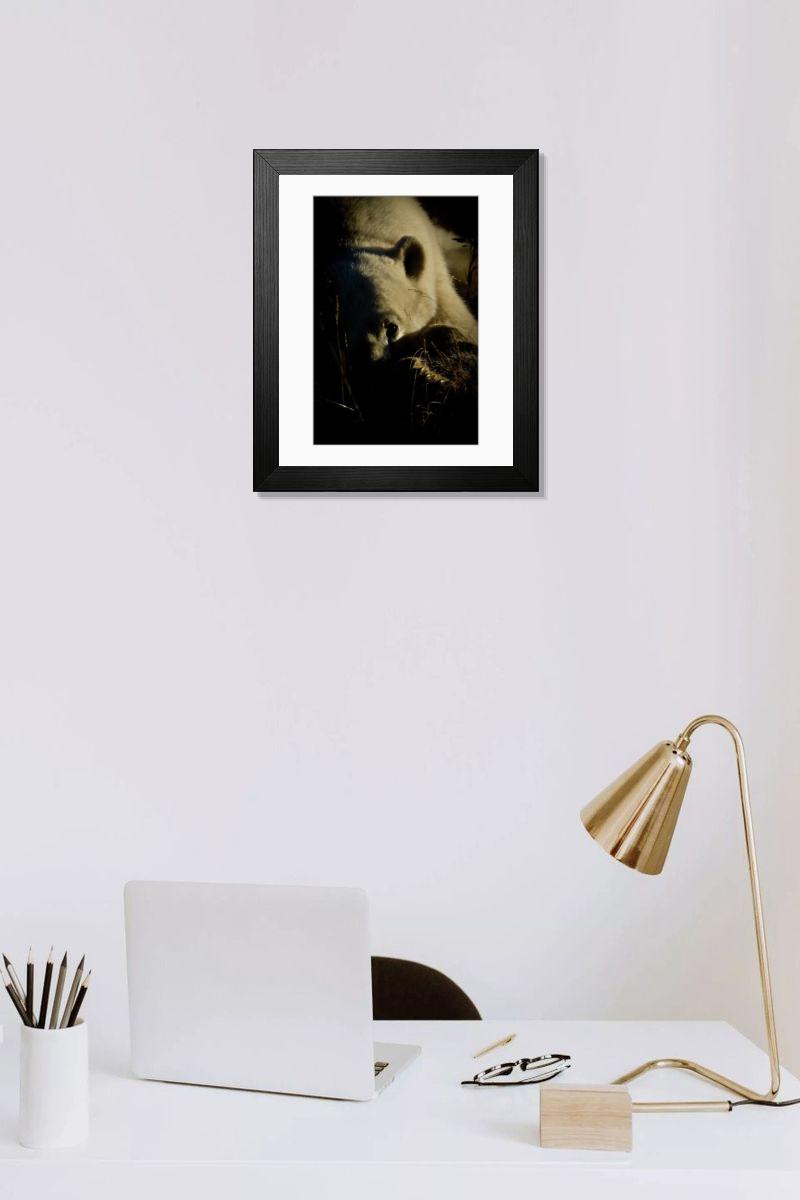 product preview 0