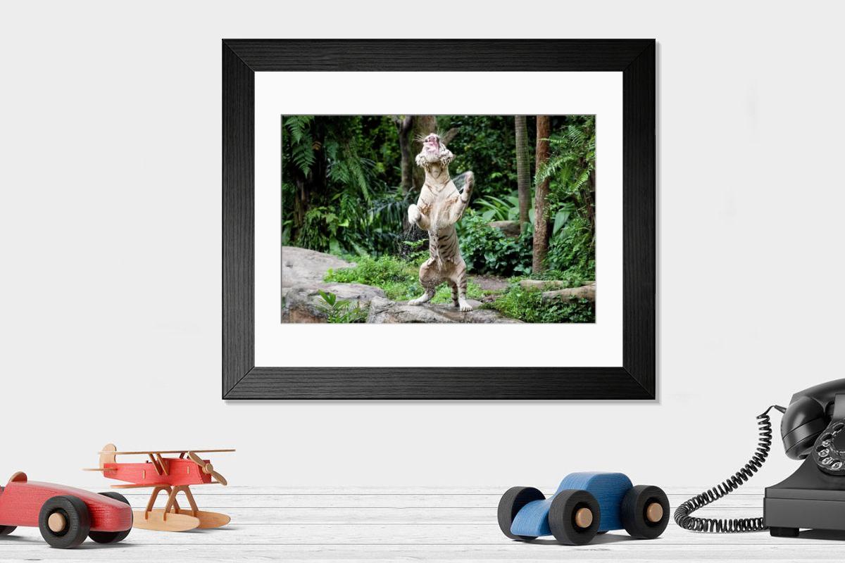 product preview 0