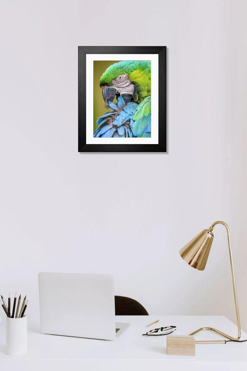 product preview 0