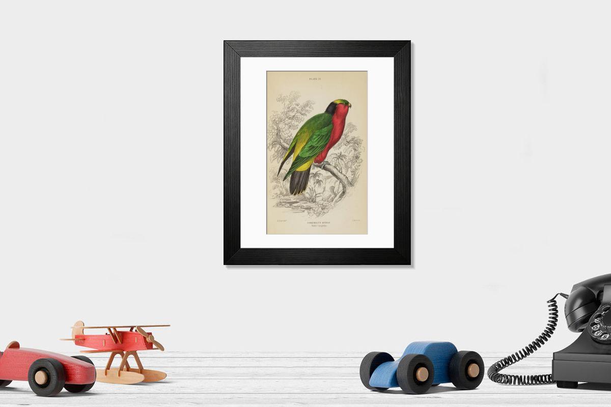 product preview 0