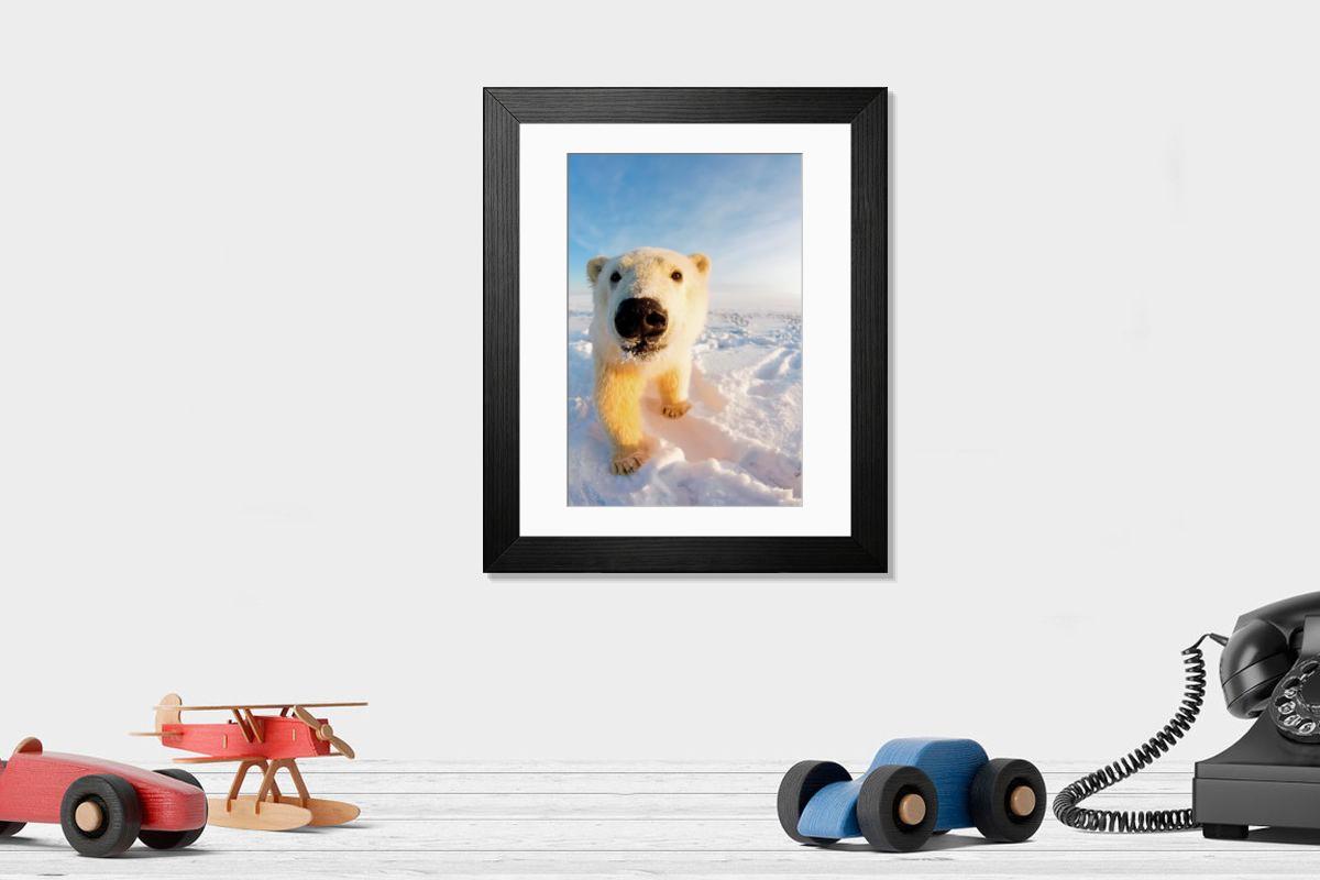 product preview 0