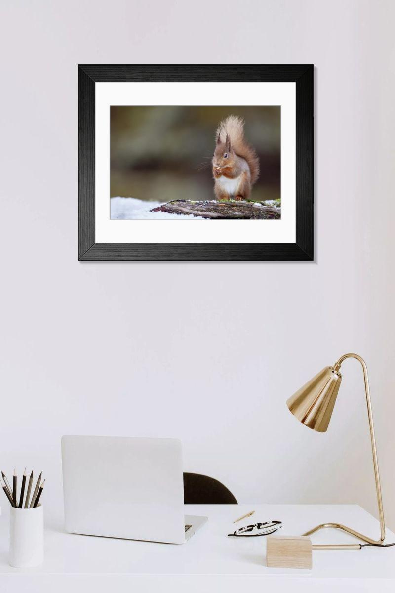 product preview 0