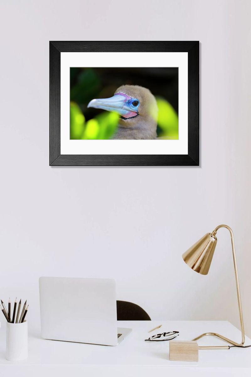 product preview 0