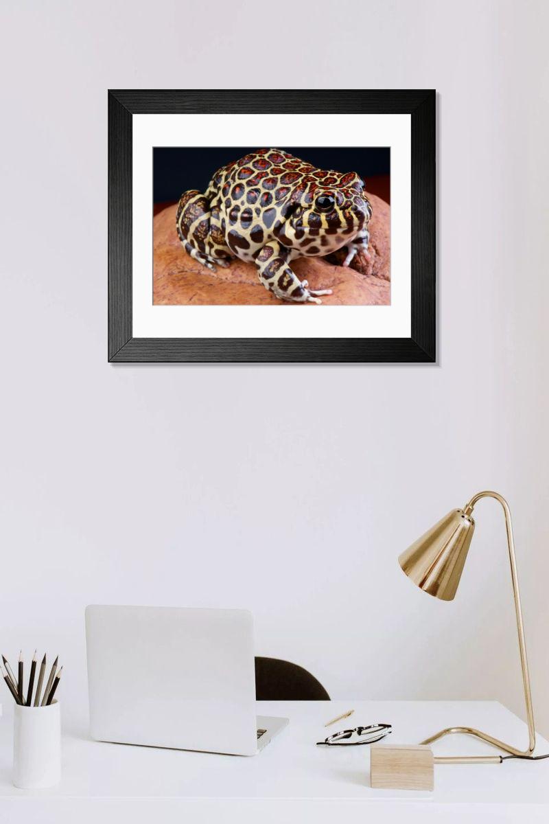 Shown hanging in a room: Modern 14"x12" (36x31cm)