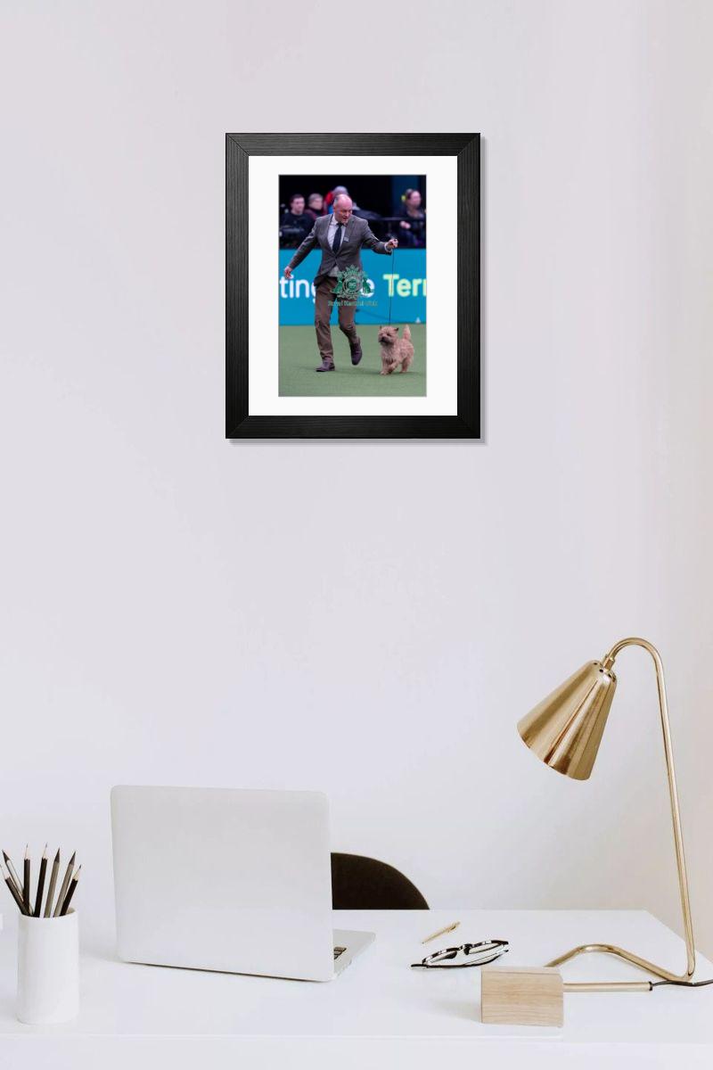 product preview 0