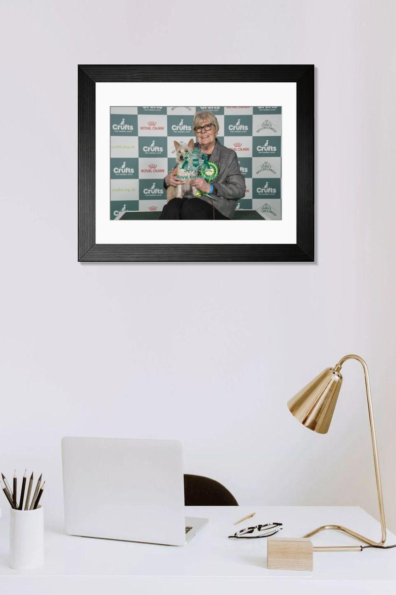 product preview 0
