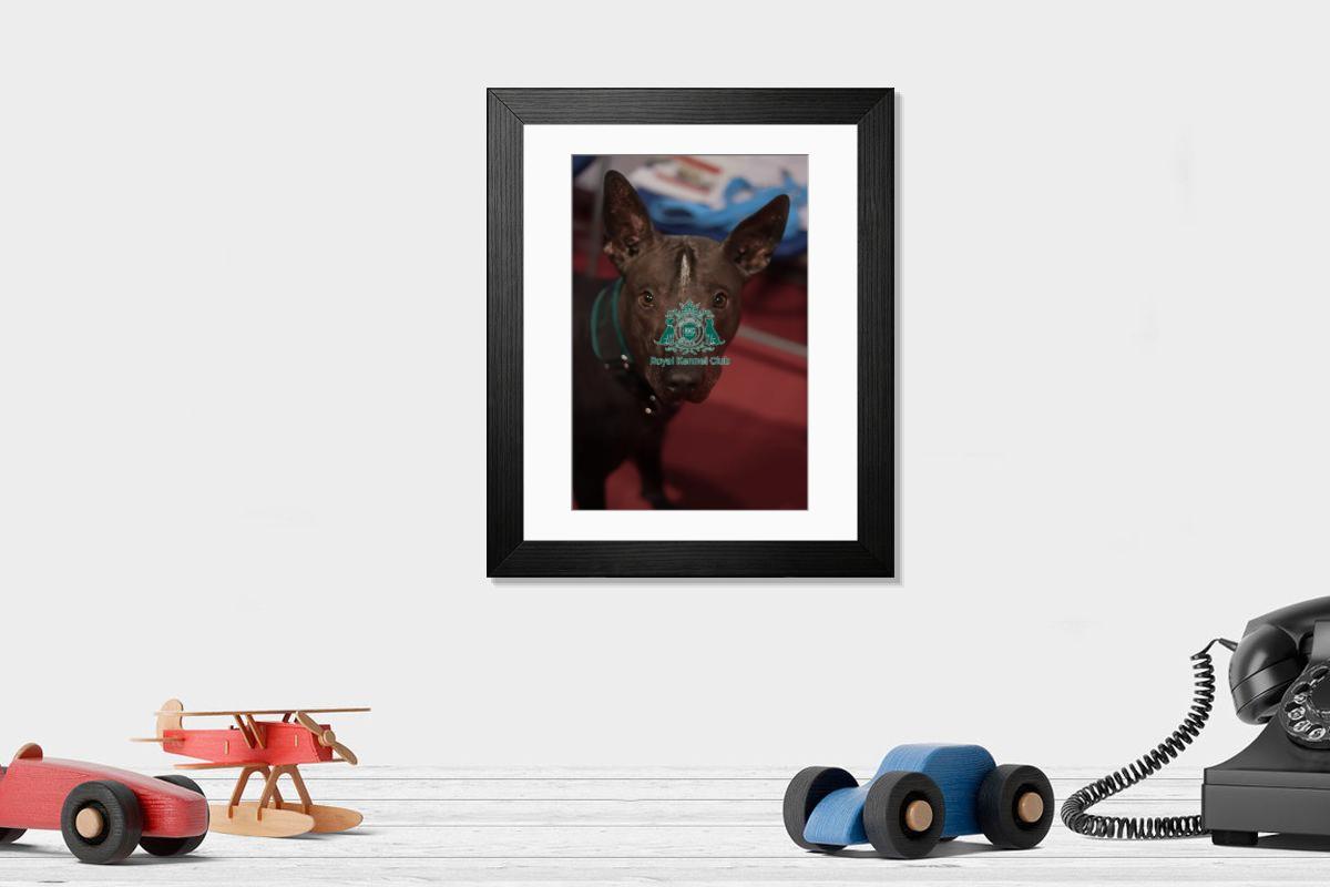 product preview 0