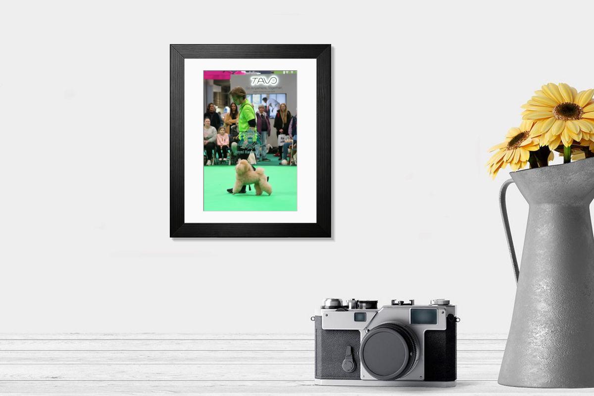 product preview 0