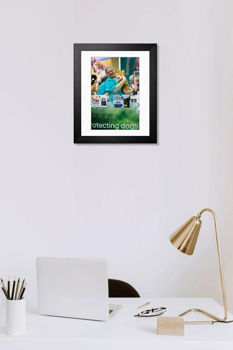 product preview 0