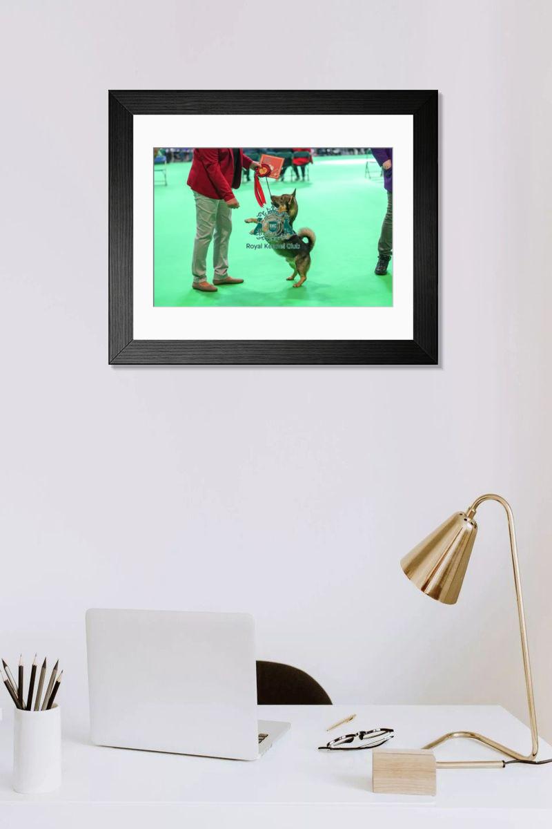 product preview 0