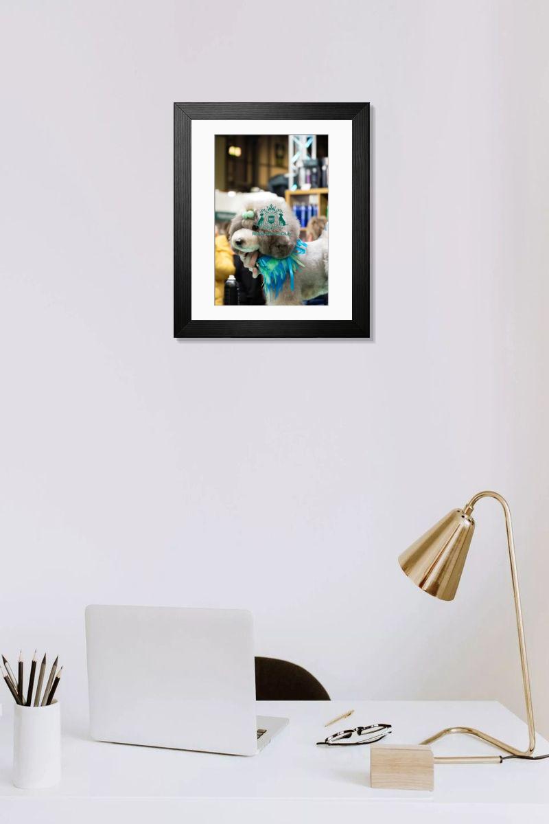 product preview 0