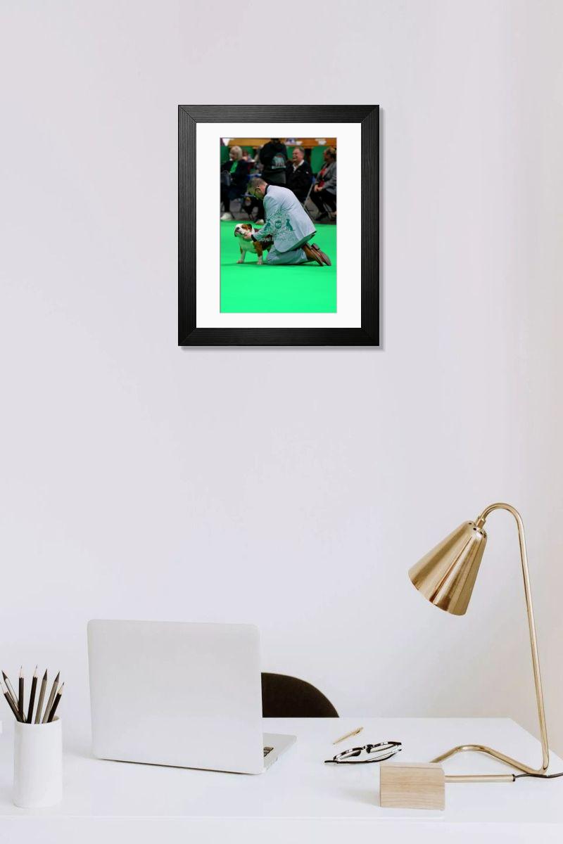 product preview 0