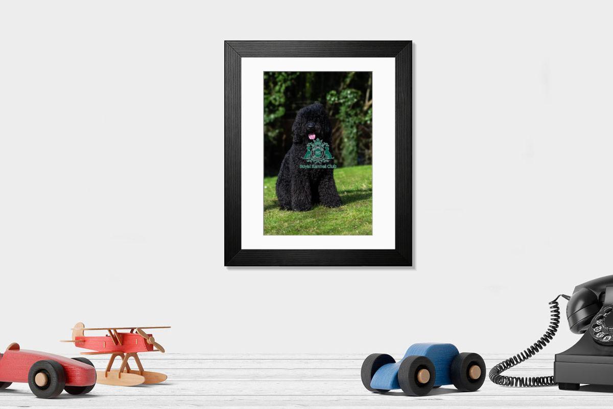 product preview 0