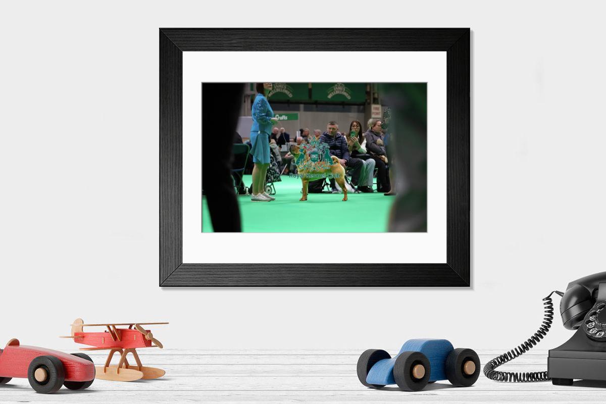 product preview 0