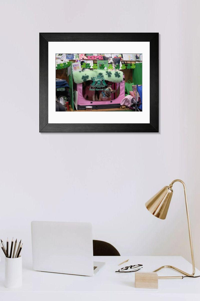 product preview 0