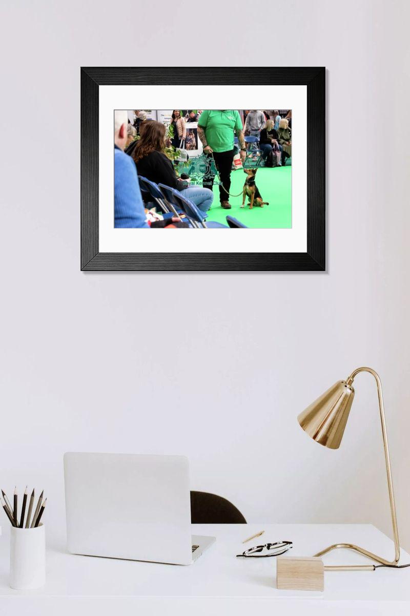 product preview 0