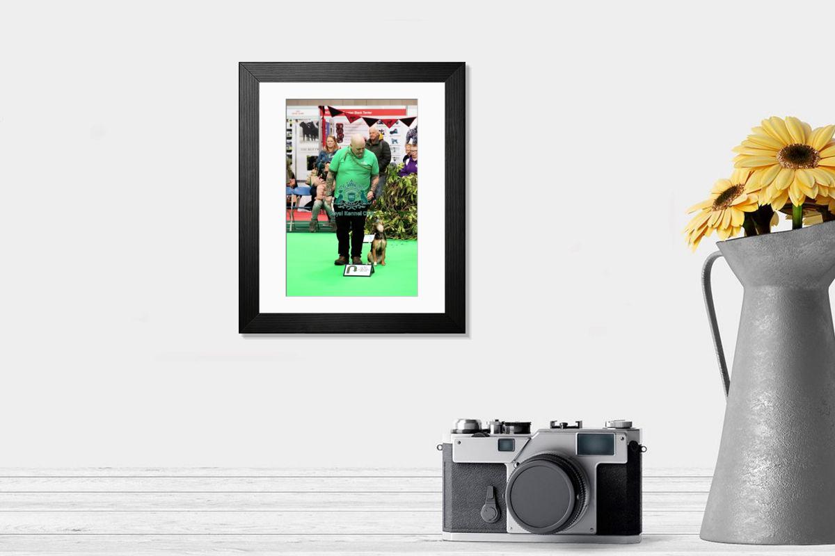 product preview 0
