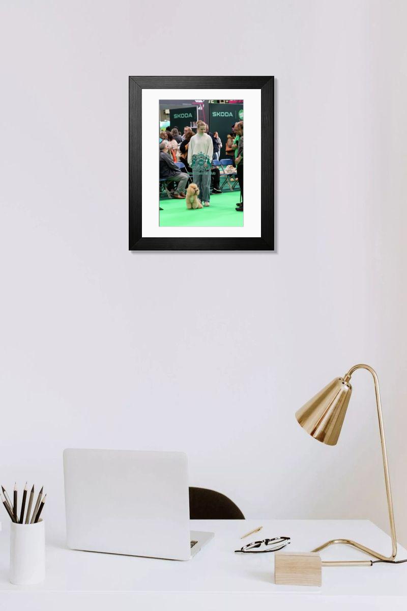 product preview 0