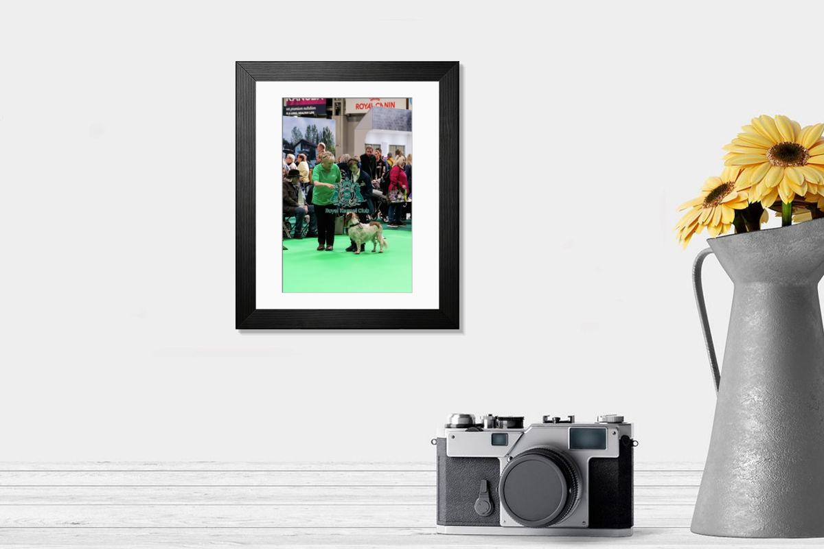 product preview 0