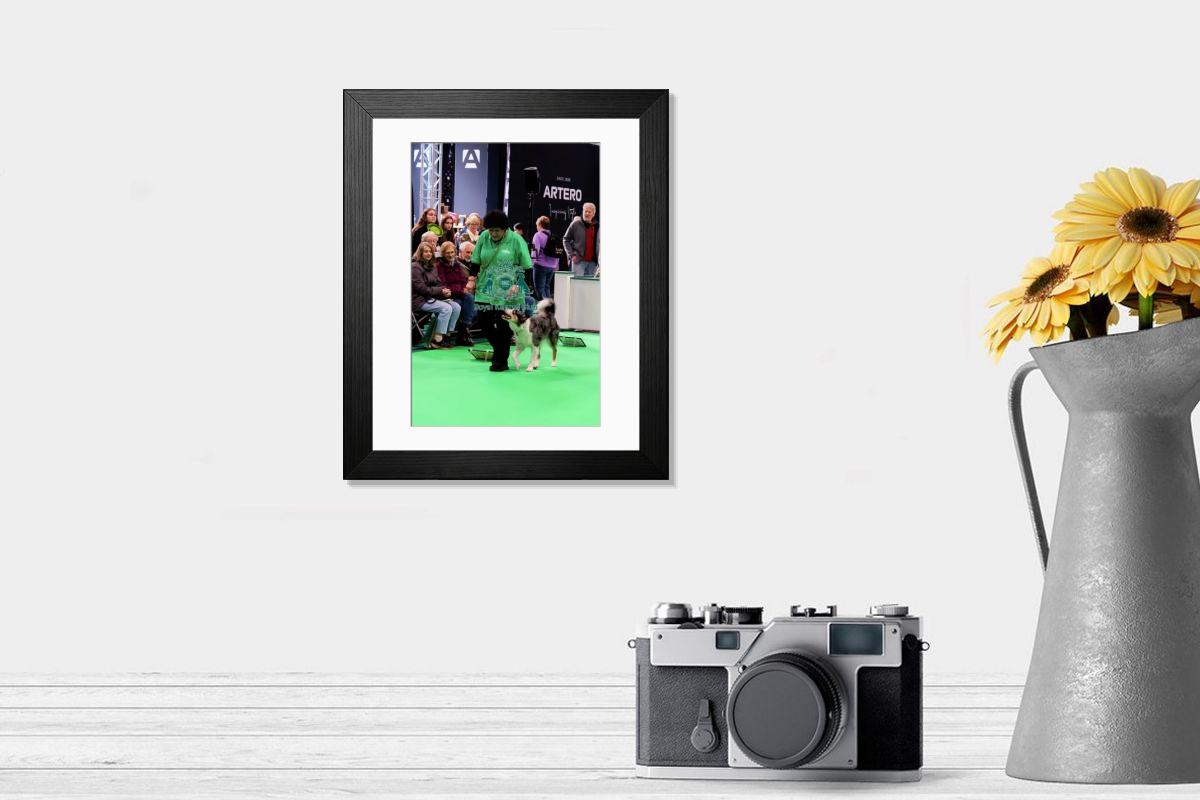 product preview 0