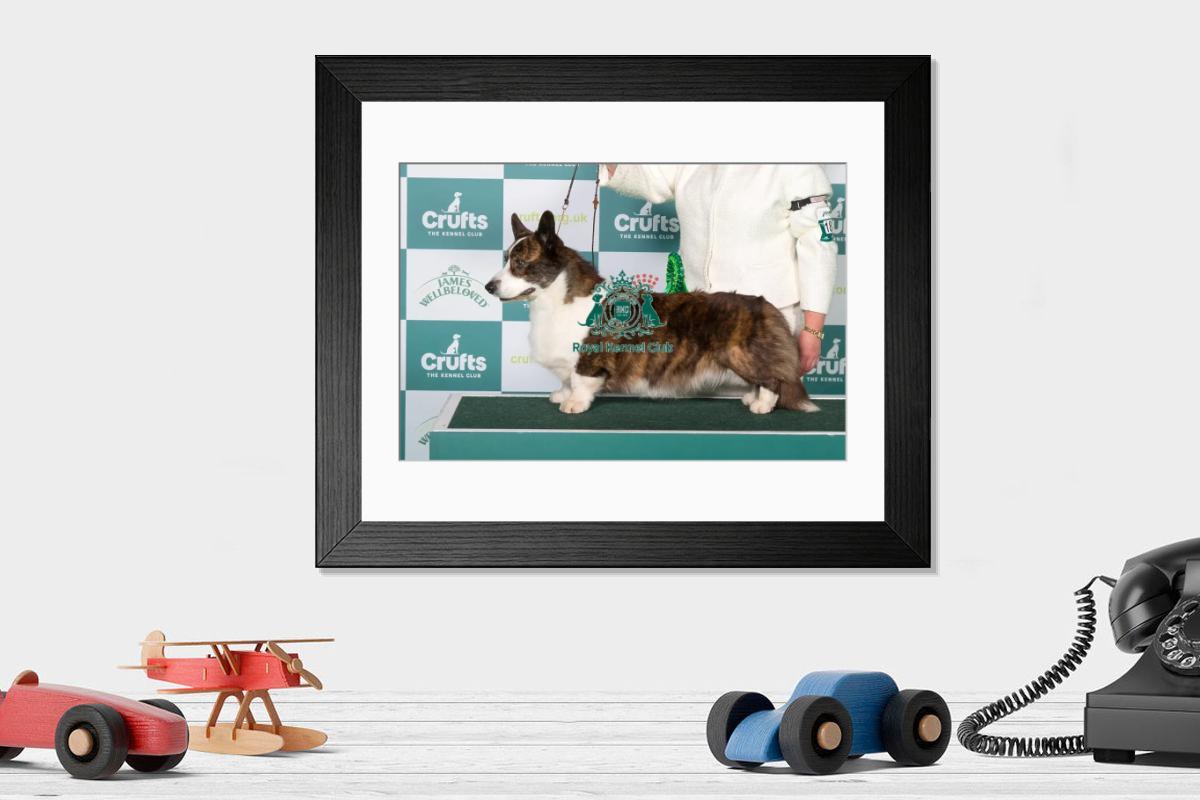 product preview 0
