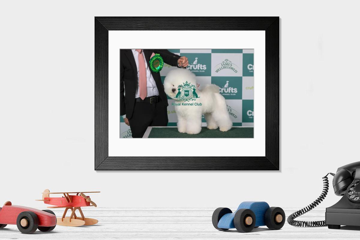 product preview 0