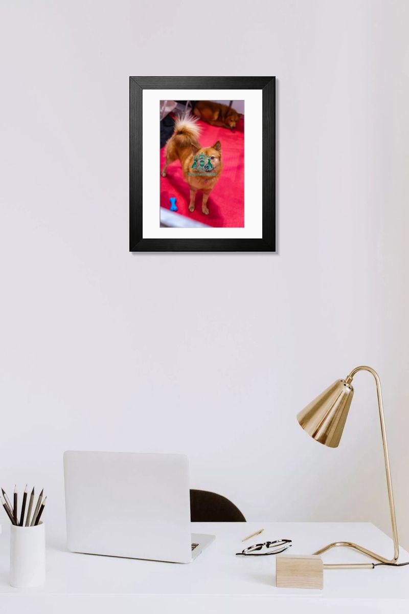 product preview 0