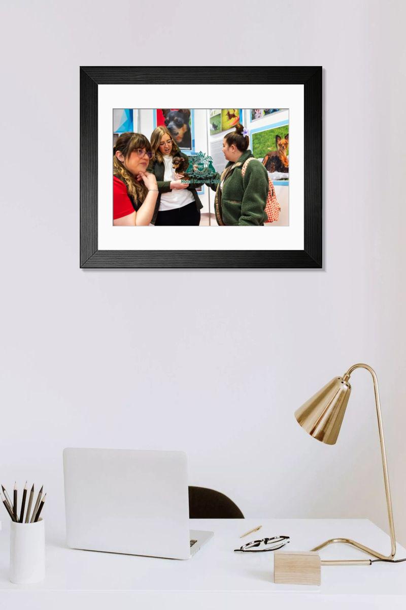 product preview 0