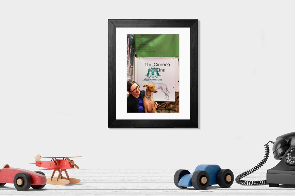 product preview 0